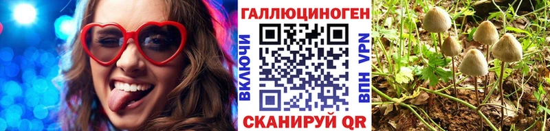 Галлюциногенные грибы мицелий  что такое наркотик  Владимир 